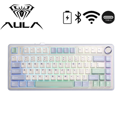 Aula Mechanical RGB